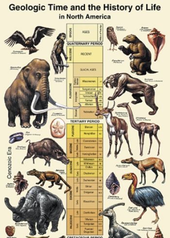 Geologic Time Chart – DinoGear