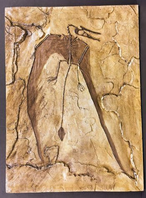 Rhamphorhynchus gemmingi, skeleton #1