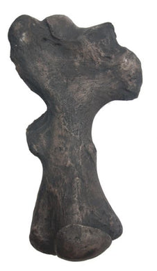 Paramylodon giant sloth right humerus