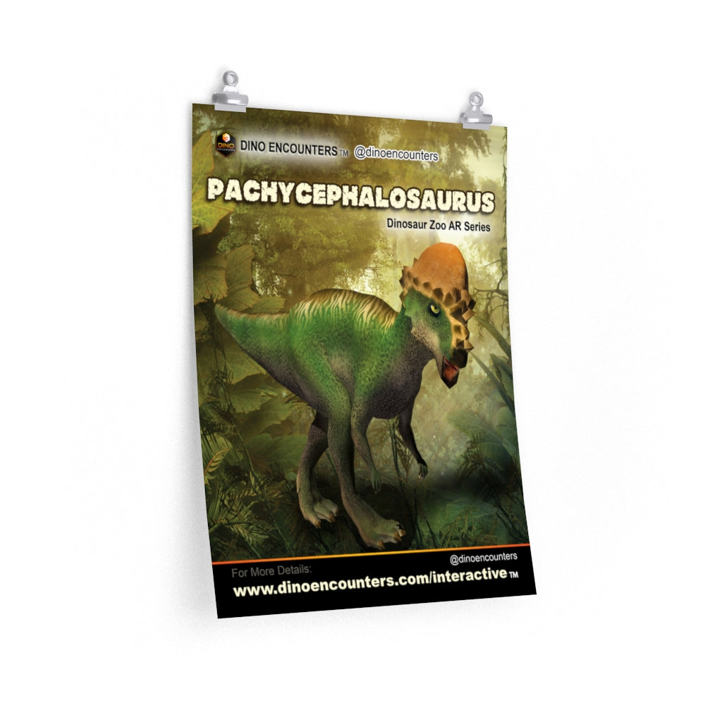 Pachycephalosaurus Dinosaur Poster