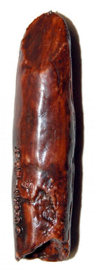 Rebbachiosaurus garasbae, tooth pair