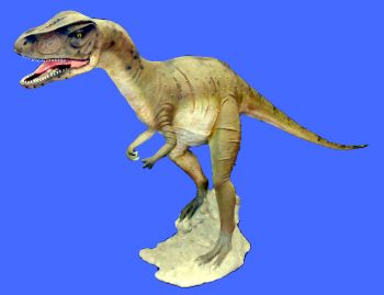 Allosaurus life-size juvenile model 10.5 feet long