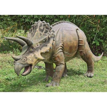 Load image into Gallery viewer, Triceratops Statue Model 14 Foot Life-Size, Life-Like 
