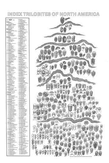 Index Trilobites of North America Poster