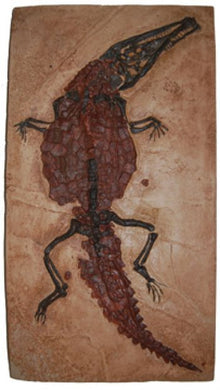 Crocodilaemus robustus, crocodile, Jurassic