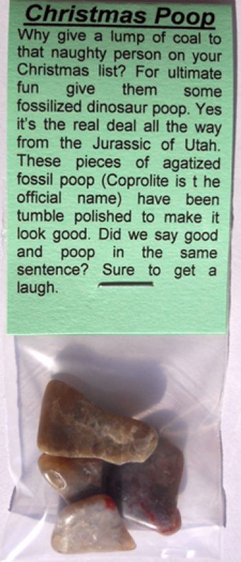 Poop for Christmas, 1 Piece of Dinosaur Coprolite
