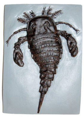 Eurypterid