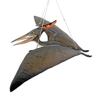 Pterosaur, Pteranodon 5 Foot Hanging Model
