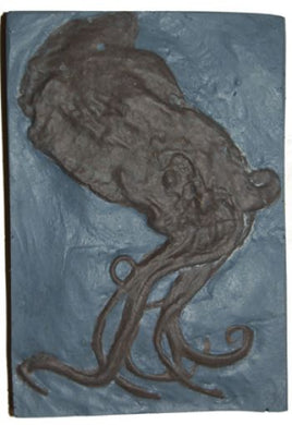 Proteroctopus ribeti, fossil octopus