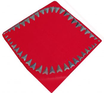 Megalodon Shark 46 Tooth Set