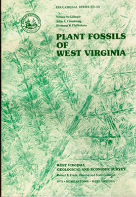 Plant Fossils of West Virginia, 180 page book
