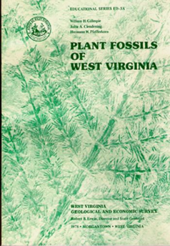 Plant Fossils of West Virginia, 180 page book
