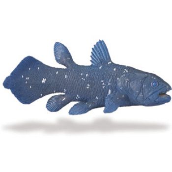 Coelacanth, model